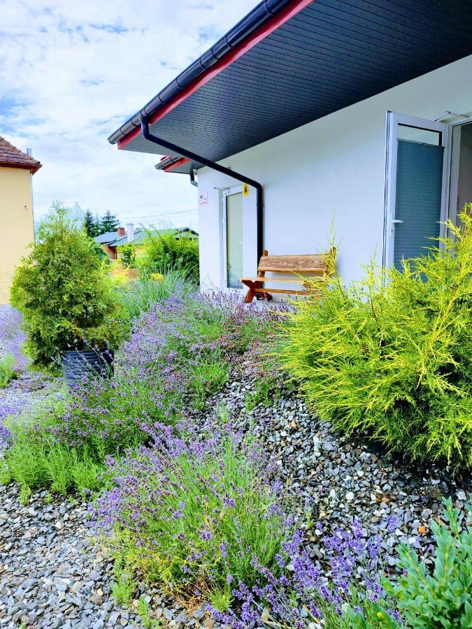 Pokoje Pod Grusza -Osobne Wejscia Kudowa-Zdrój Extérieur photo